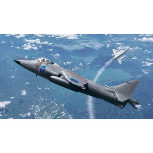 Sea Harrier FRS.1 (1/144)