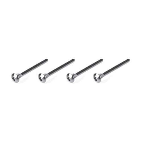 Screw Hinge Pin 2.5x25mm (4pcs)