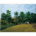 12 Evergreen trees trunks with foilage (H0)(TT)(N) 12 Evergreen trees trunks with foilage (H0)(TT)(N)