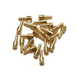 Augbolzen 6mm (20St)