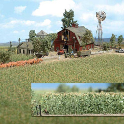 Cornfield (H0) Cornfield (H0)