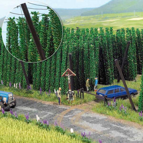 Champ de houblon (H0)