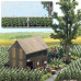 Tobacco Plants  (H0)