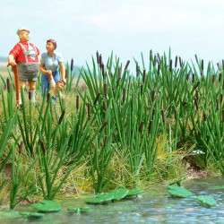 Cattails/Bulrush (H0) Cattails/Bulrush (H0)