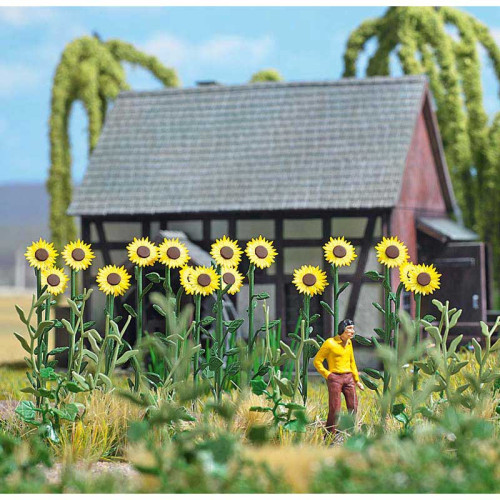 18 Sunflower Field (H0) 18 Sunflower Field (H0)