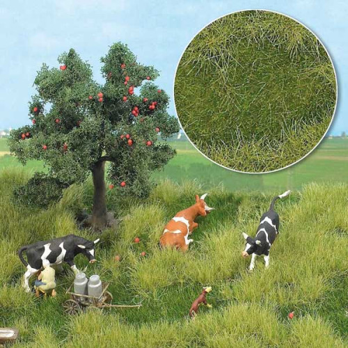 Bodendecker: Sommeraue