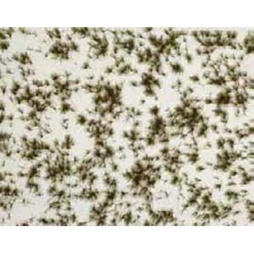 Tapis de fibres: Paysage enneige
