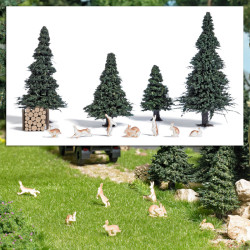 Action Set: Hares (H0) Action Set: Hares (H0)