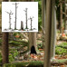 Action Set: Fox burrow (H0) Action Set: Fox burrow (H0)