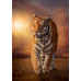 Tigre (1500Pcs) Tigre (1500Pcs)