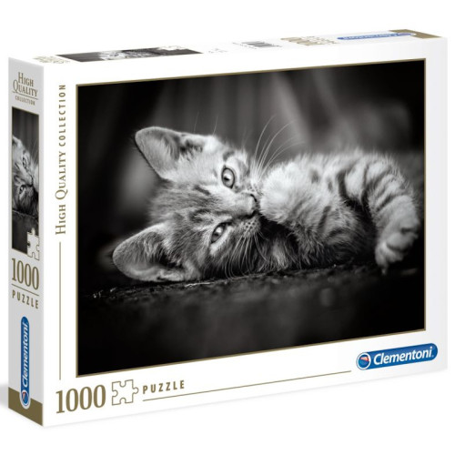 Chaton (1000St) Chaton (1000St)