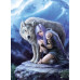 Anne Stokes Collection - Protector (1000St)