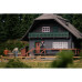 Black Forest house with figure Anniversary model (H0)
