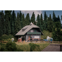 Black Forest house with figure Anniversary model (H0)