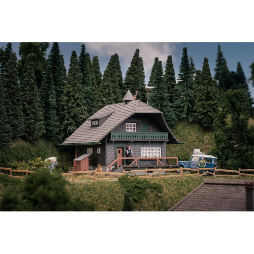 Black Forest house with figure Anniversary model (H0)
