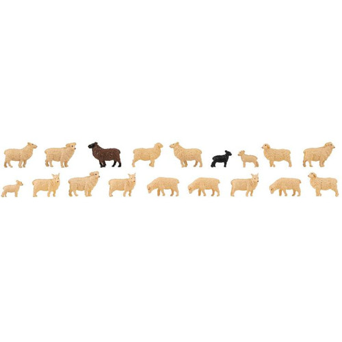 18 Moutons domestiques (H0)