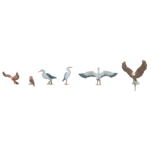Wild birds (H0) Wild birds (H0)