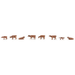Allgäu Swiss Brown cattle (N) Allgäu Swiss Brown cattle (N)