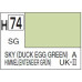 H074 Semi-Gloss Sky Duck Egg Green 10ml