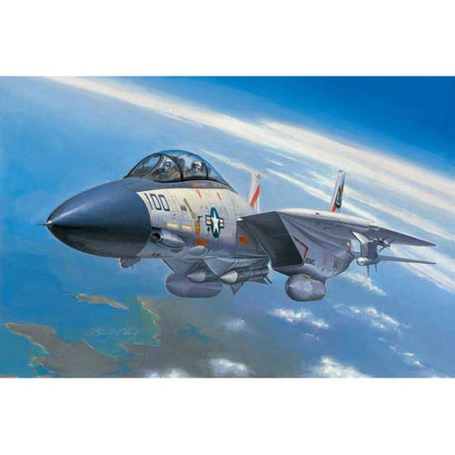 F-14A Tomcat (1/72)
