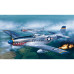 P-51D Mustang (1/72) P-51D Mustang (1/72)