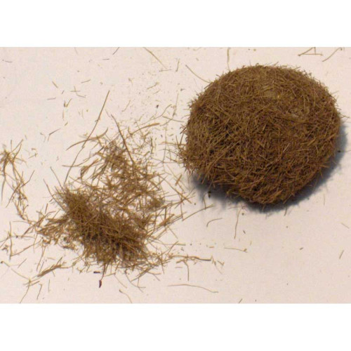 Wild brown grass