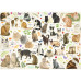 Cats Poster (1000Pcs) Cats Poster (1000Pcs)