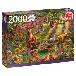 Zauberwald bei Sonnenuntergang - 2000 Stück Zauberwald bei Sonnenuntergang - 2000 Stück