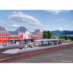Bahnsteig Bad Nauheim (Z)