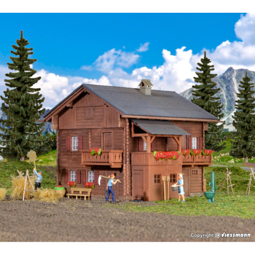 House glacier view in Hinterbichl (H0)