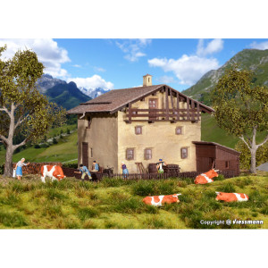 Montain cottage Sils in Grevasalvas (H0)