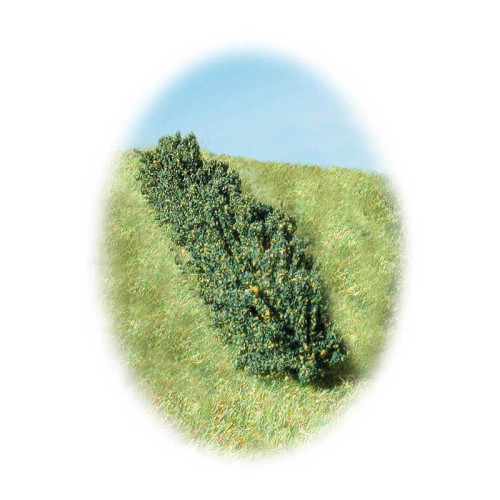 Hedge Small - 150mm x6 Hedge Small - 150mm x6