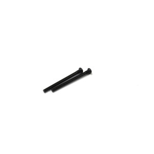 Screw Pin 3x40mm (2Pcs)