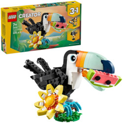 Animaux sauvages : le toucan tropical