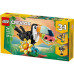 Wild Animals: Tropical Toucan
