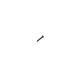 Cheese Head Screw M2x11 (10Pcs) Cheese Head Screw M2x11 (10Pcs)