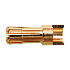 Gold Plug Male G5.5