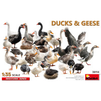 Canards et Oies (1/35) Canards et Oies (1/35)