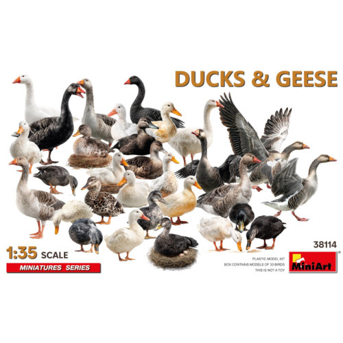 Ducks and Geese (1/35) Ducks and Geese (1/35)