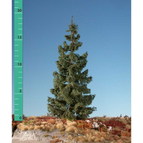 Green Spruce, Size 0 - Sommer Green Spruce, Size 0 - Sommer