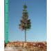 Wheatered Green Spruce Hightrunk - Summer Wheatered Green Spruce Hightrunk - Summer
