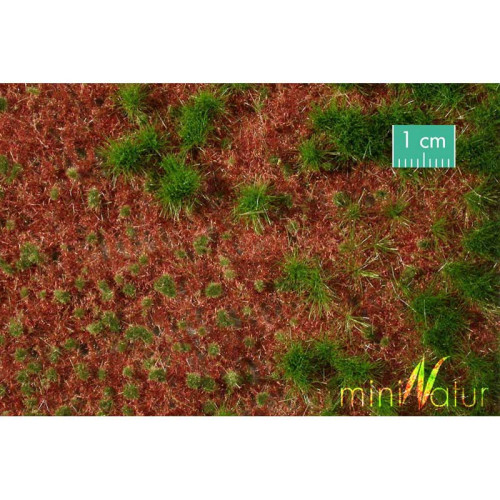 Overgrown forest groundcover - Summer 50 x 31,5 cm Overgrown forest groundcover - Summer 50 x 31,5 cm
