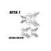 Paint mask Nita 1