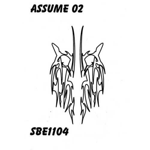 Paint mask Assume 02