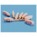 Cochons avec mangeoire (H0) Cochons avec mangeoire (H0)
