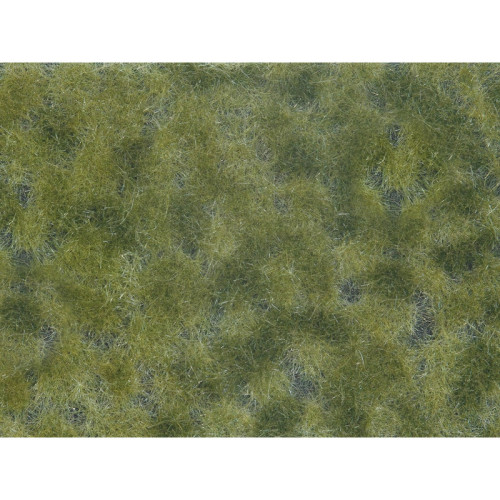 Foliage de couverture végétale, vert moyen Foliage de couverture végétale, vert moyen