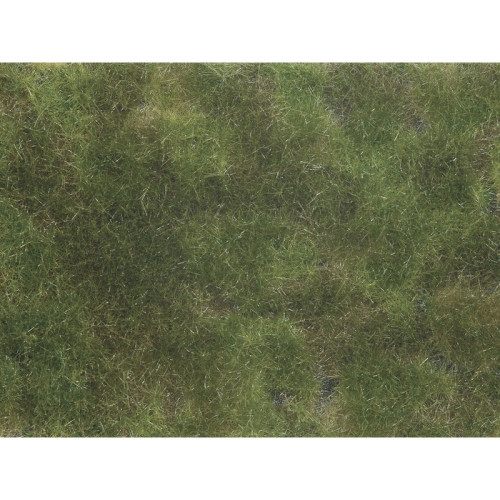 Bodendecker-Foliage, olivgrün Bodendecker-Foliage, olivgrün