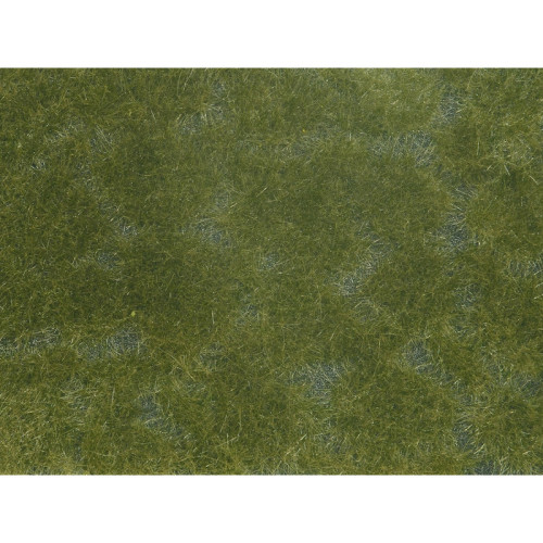 Foliage de couverture végétale, vert foncée Foliage de couverture végétale, vert foncée