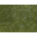 Foliage de couverture végétale, vert foncée Foliage de couverture végétale, vert foncée
