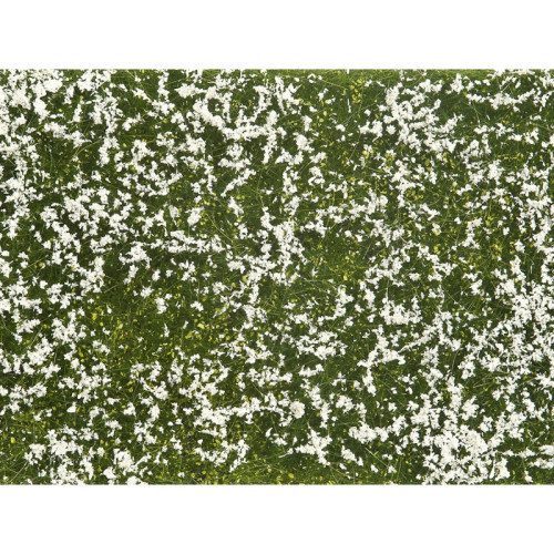 Foliage de couverture végétale, Prairie, blanc Foliage de couverture végétale, Prairie, blanc